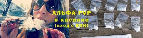 твердый Богородск