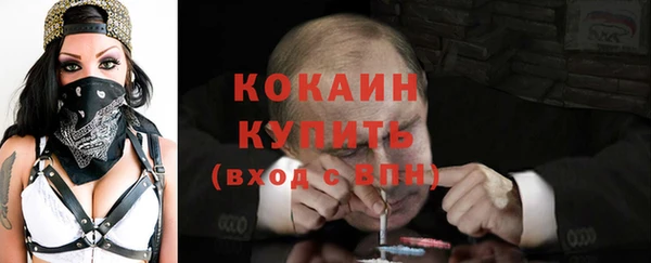 твердый Богородск