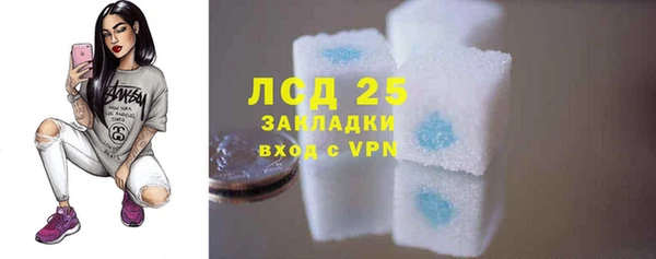прущие грибы Белоозёрский