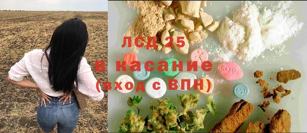 прущие грибы Белоозёрский
