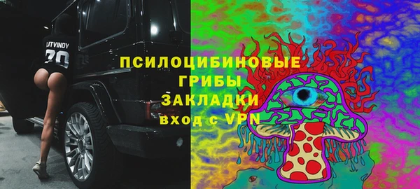 spice Богданович