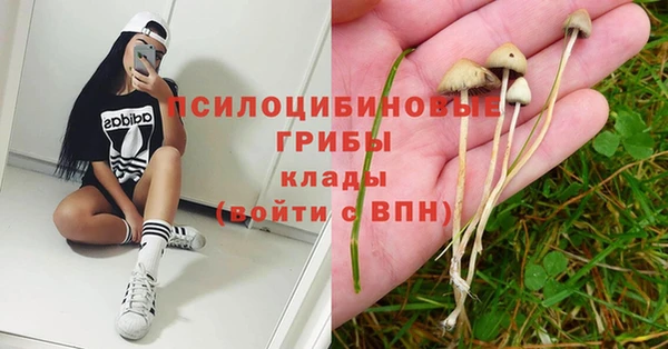 твердый Богородск