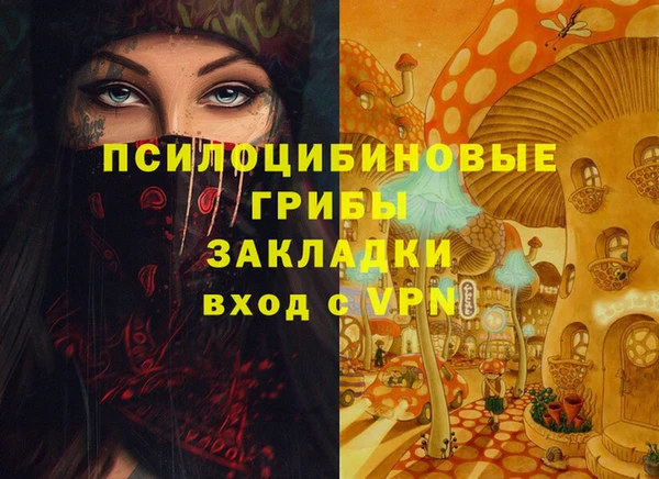 spice Богданович
