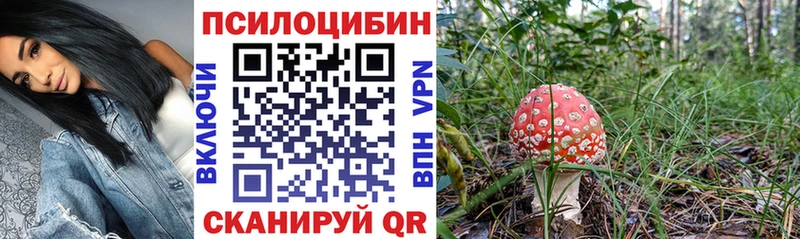 Псилоцибиновые грибы мицелий  ОМГ ОМГ зеркало  Видное  где найти наркотики 