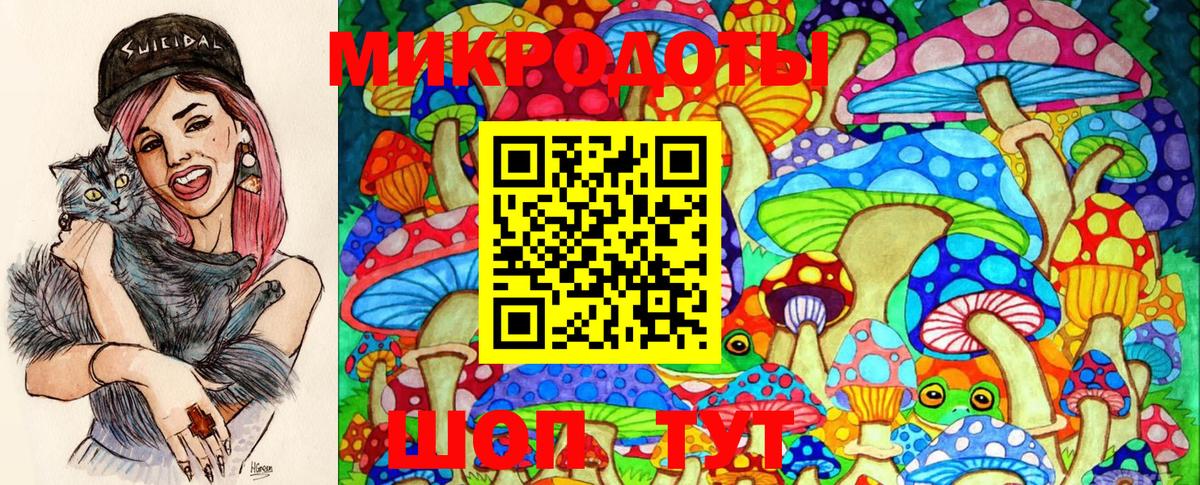 Галлюциногенные грибы MAGIC MUSHROOMS Видное